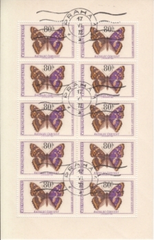 1526 / 1531 PL ● - 1966